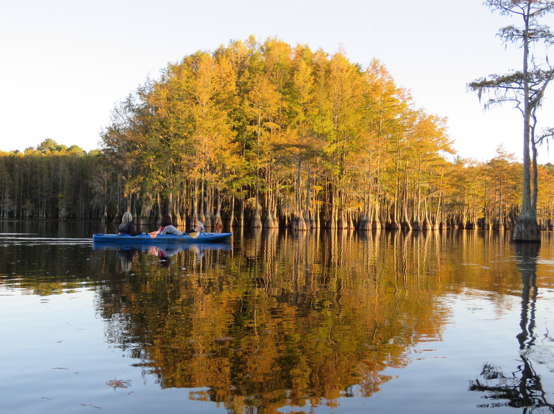 Mill Pond Kayak, LLC景点图片