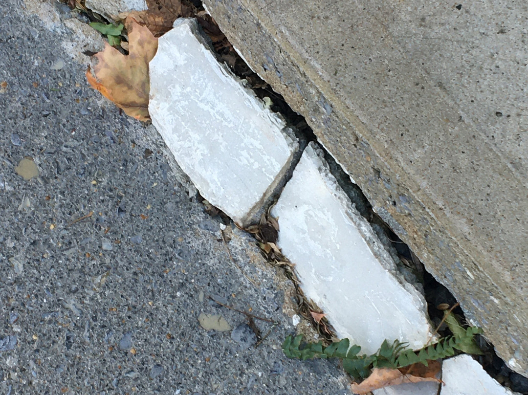 Historic General Lewis Inn主图