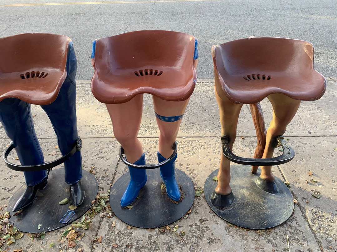 The Buckin' Flamingo-Pawhuska必去景点