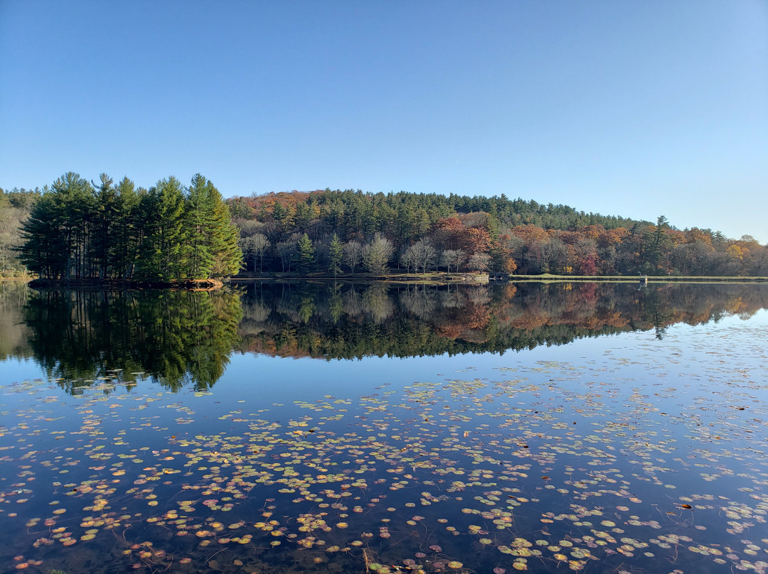 Bass Lake景点图片