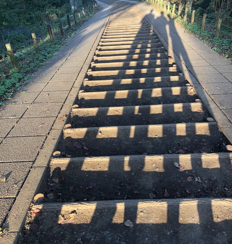 Mt. Kobo-秦野市必去景点