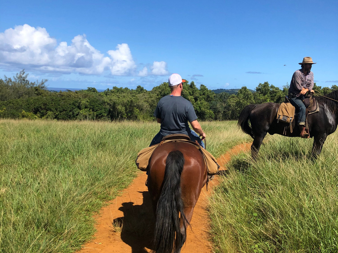 Princeville Ranch-普林斯维尔必去景点