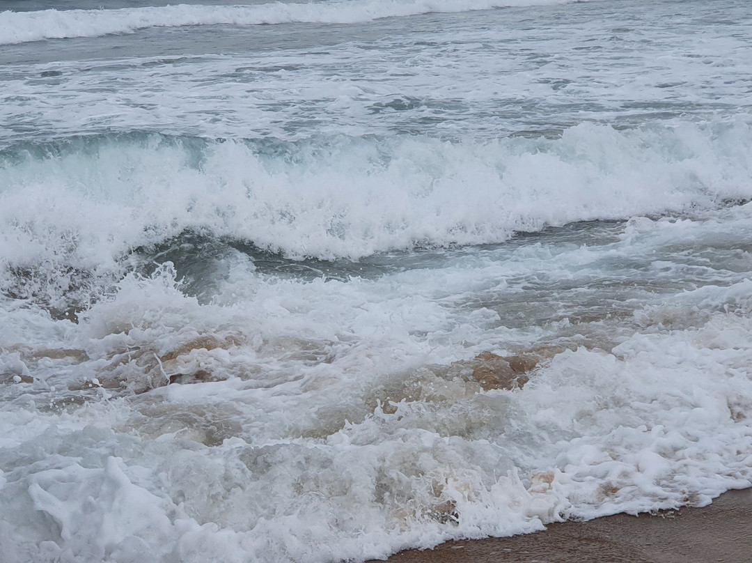Rama Krishna Beach景点图片
