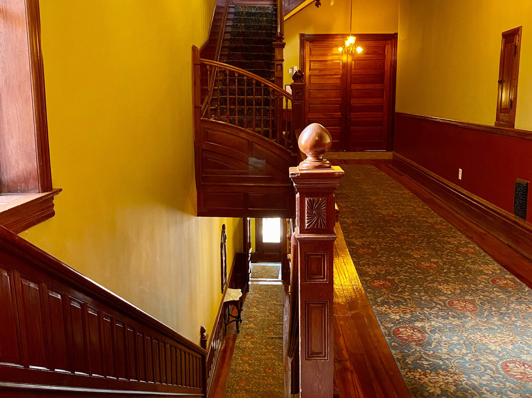 The Fitzpatrick Hotel主图