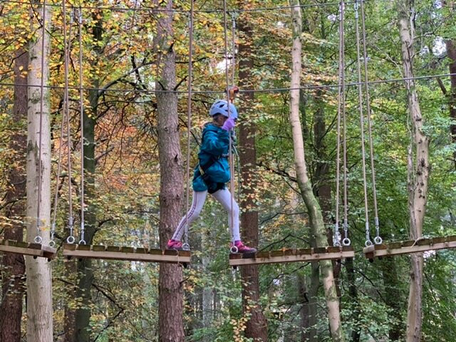 Craufurdland Tree Top Trials and Activities景点图片