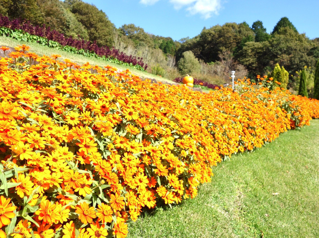Yamaguchi Flower Land-柳井市必去景点