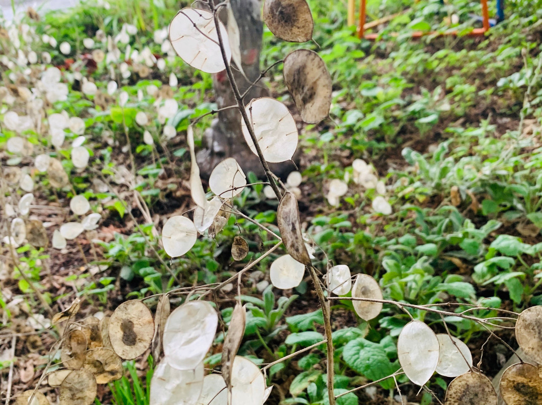 Triangle Motel主图