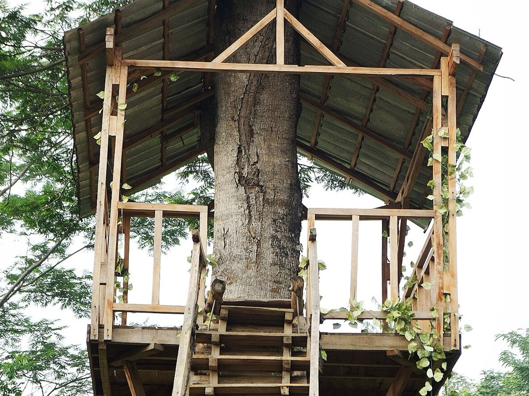 Harper Purwakarta主图