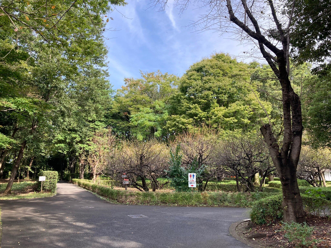 Ageo Maruyama Park-上尾市必去景点
