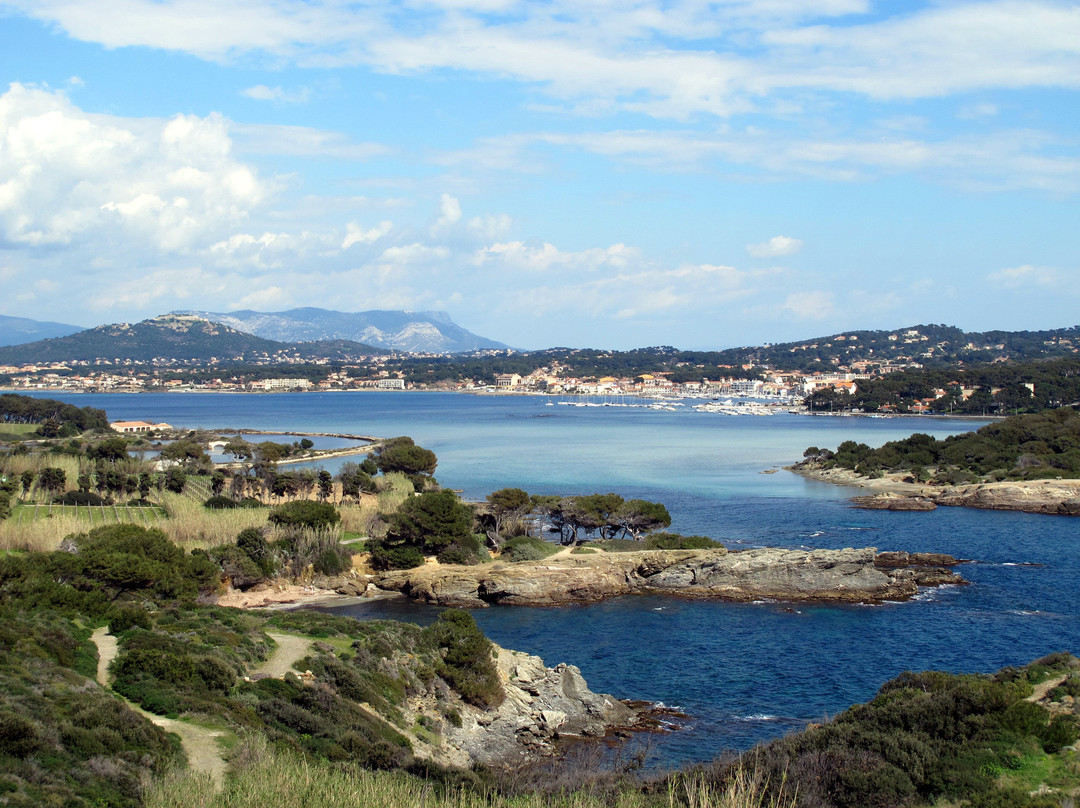 Aquarium de l'Institut océanographique Paul Ricard-Six-Fours-les-Plages必去景点