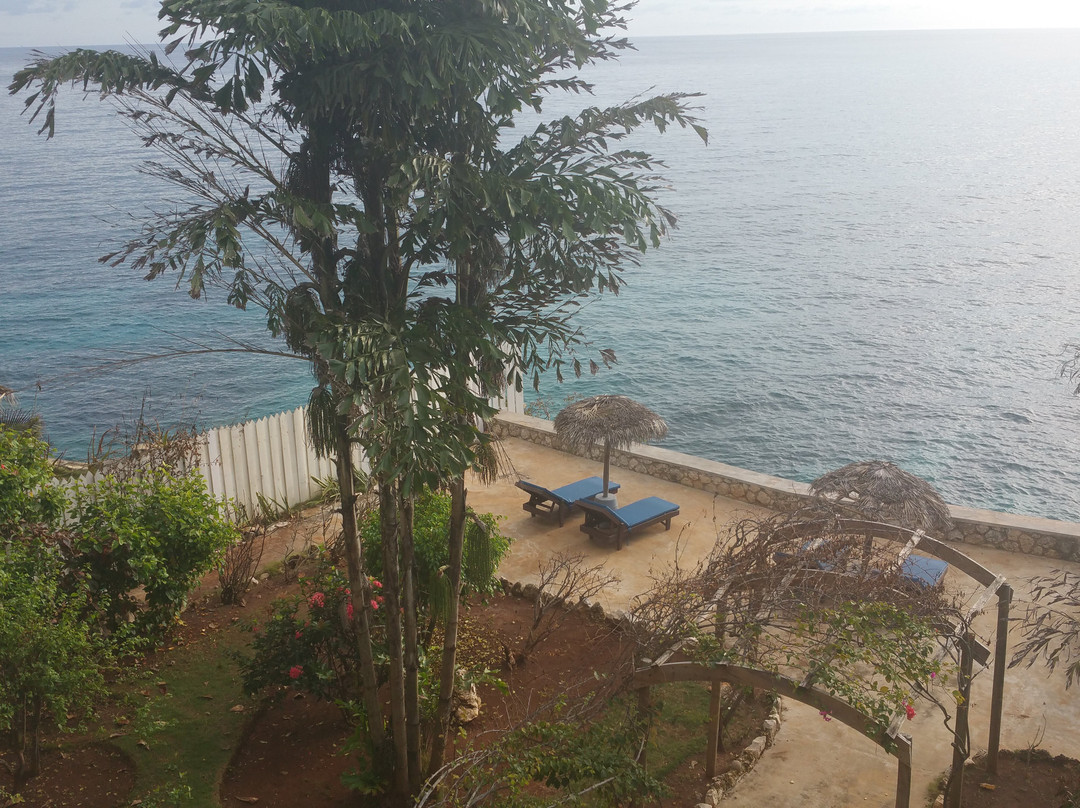 Catcha Falling Star主图