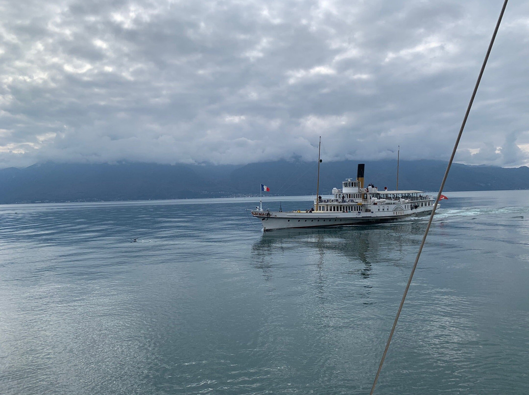 La Suisse - Belle Epoque - Paddle Steamboat-洛桑必去景点