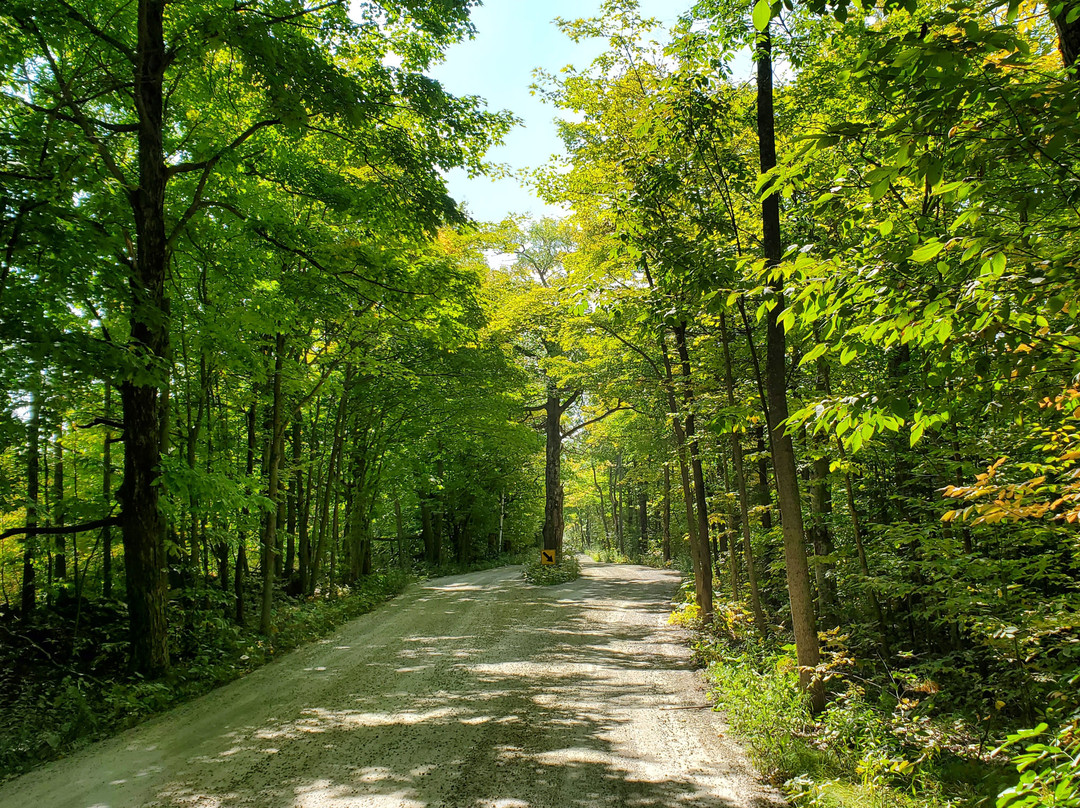 Ellison Bluff State Natural Area-Ellison Bay必去景点