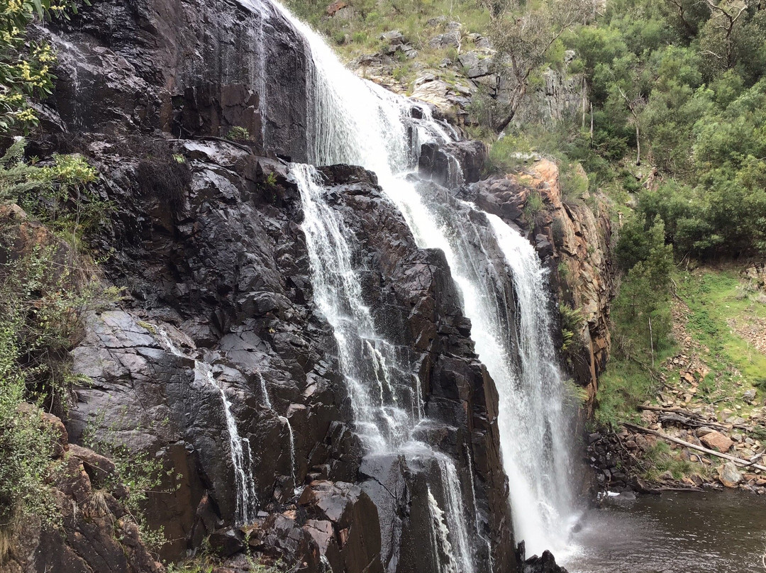 McKenzies Falls-哈密尔顿必去景点
