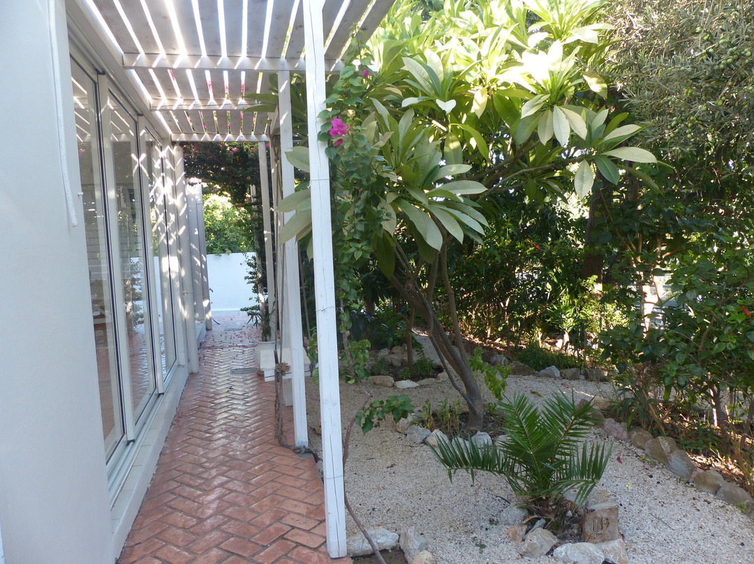 Blugreen Stegna主图