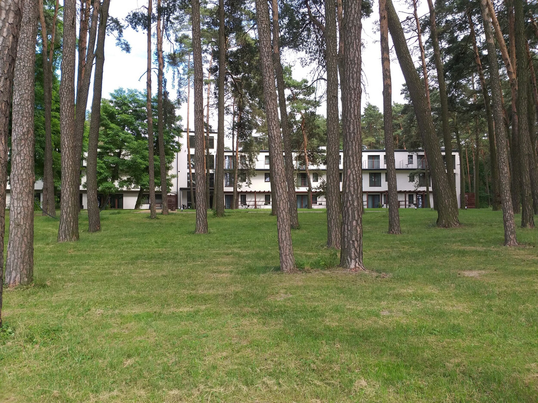Hotel Kasor Resort & Spa主图
