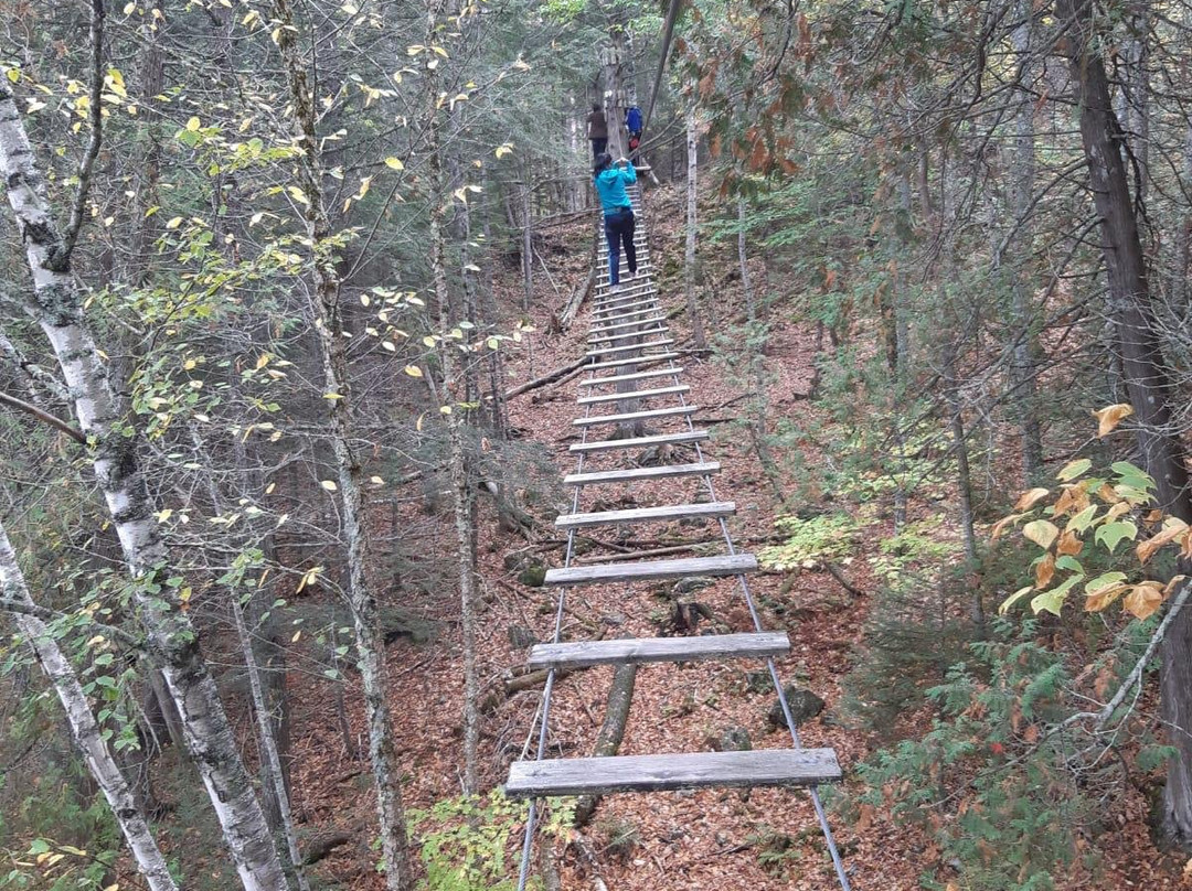 Treego Mactaquac-弗雷德里克顿必去景点