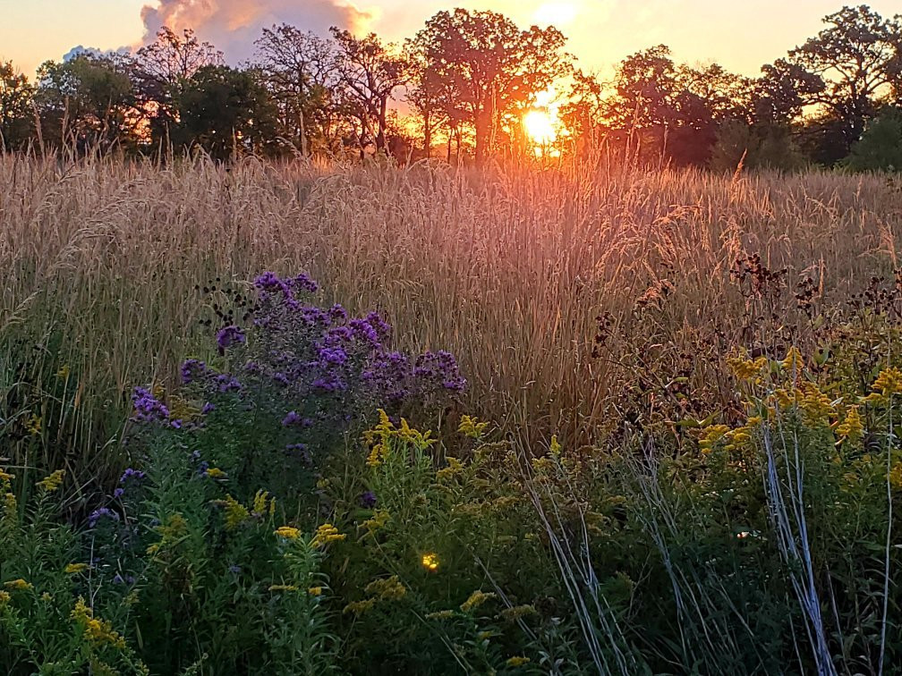 Four Rivers Environmental Education Center景点图片