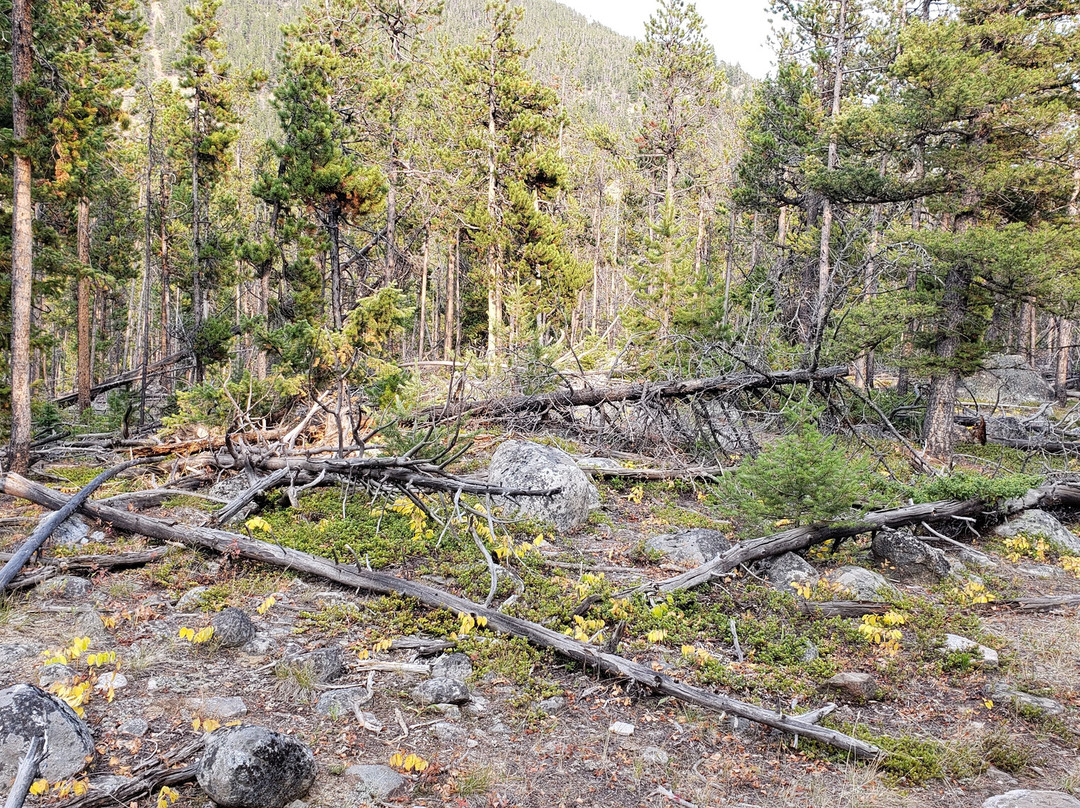 Silver Run Trails-雷德洛治必去景点