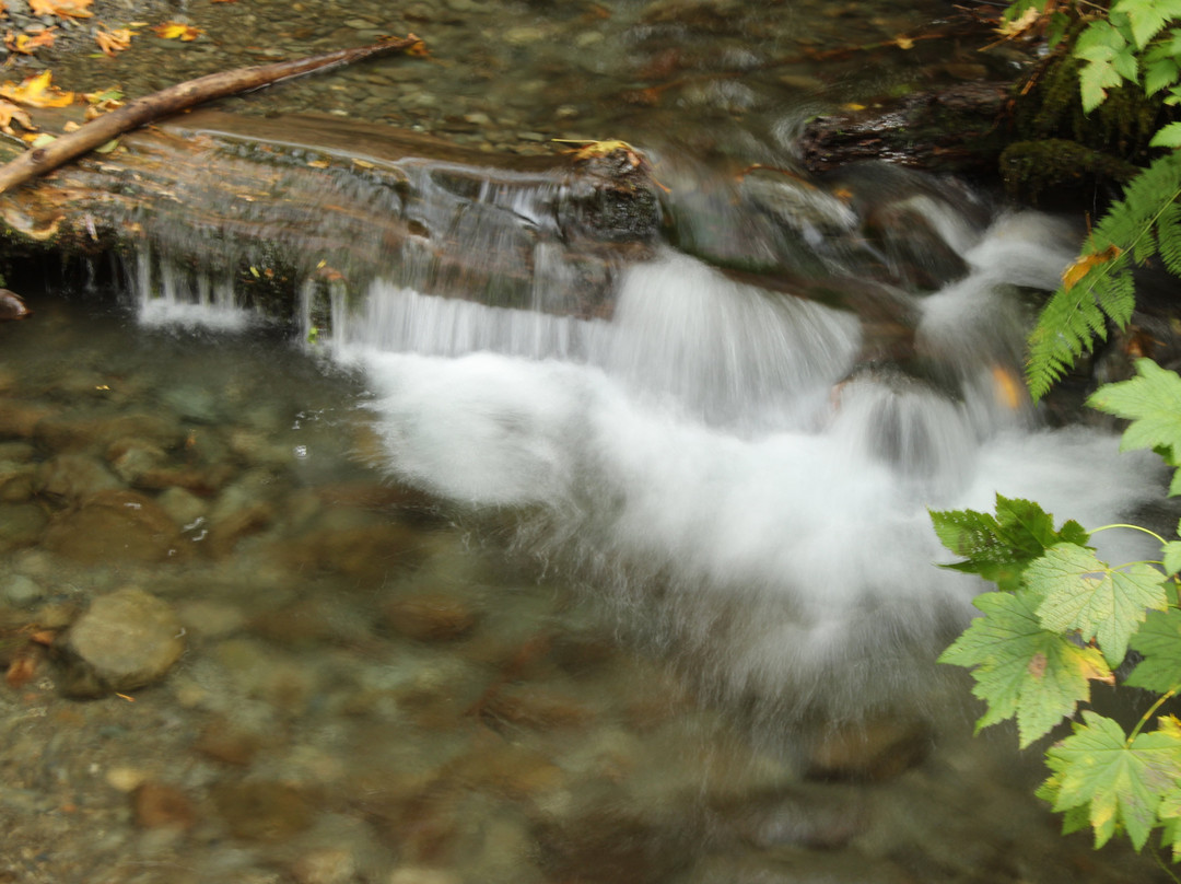 Merriman Falls景点图片