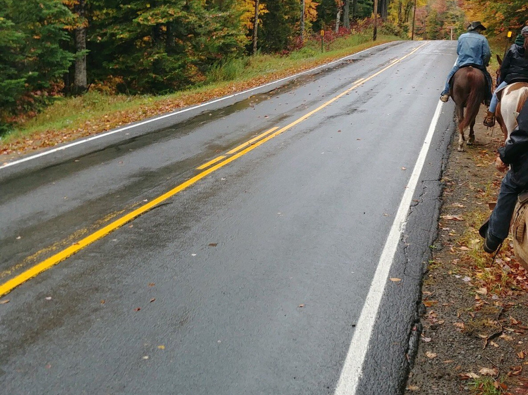 Adirondack Saddle Tours-Eagle Bay必去景点