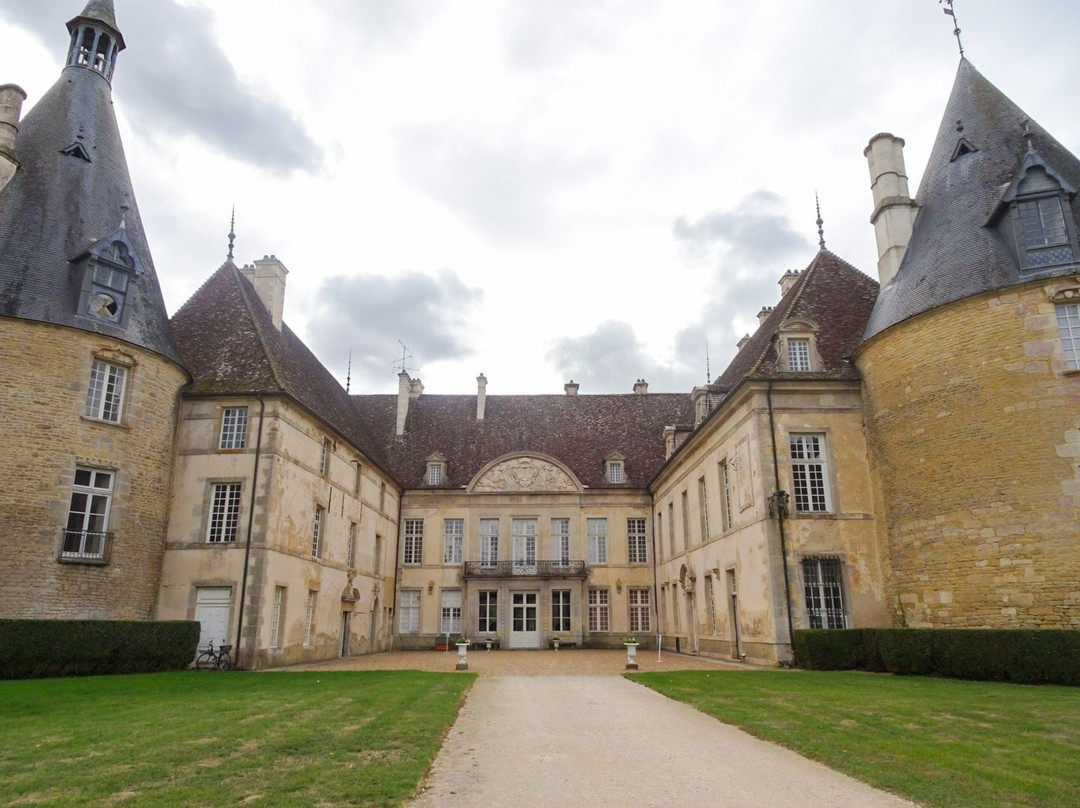 Chateau de Commarin景点图片