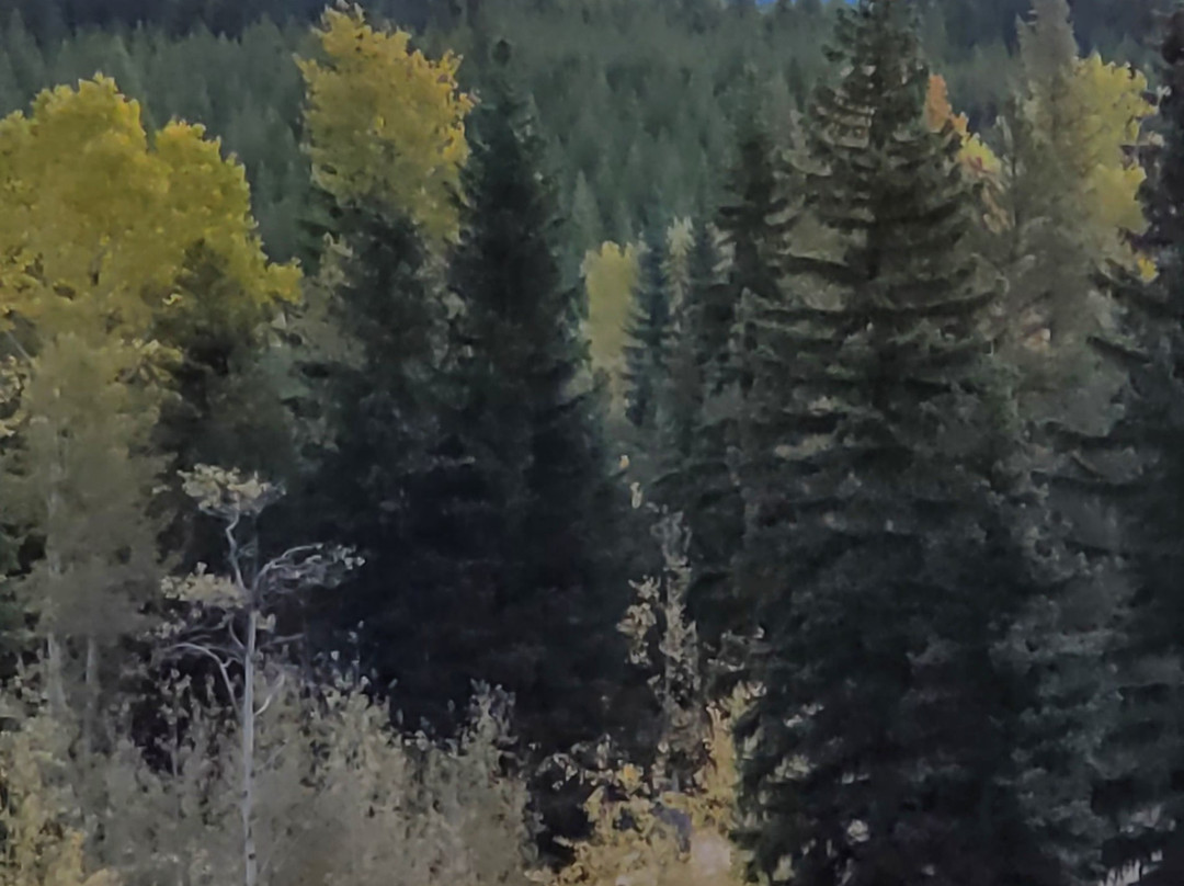 The Way Less Traveled Bed & Breakfast主图