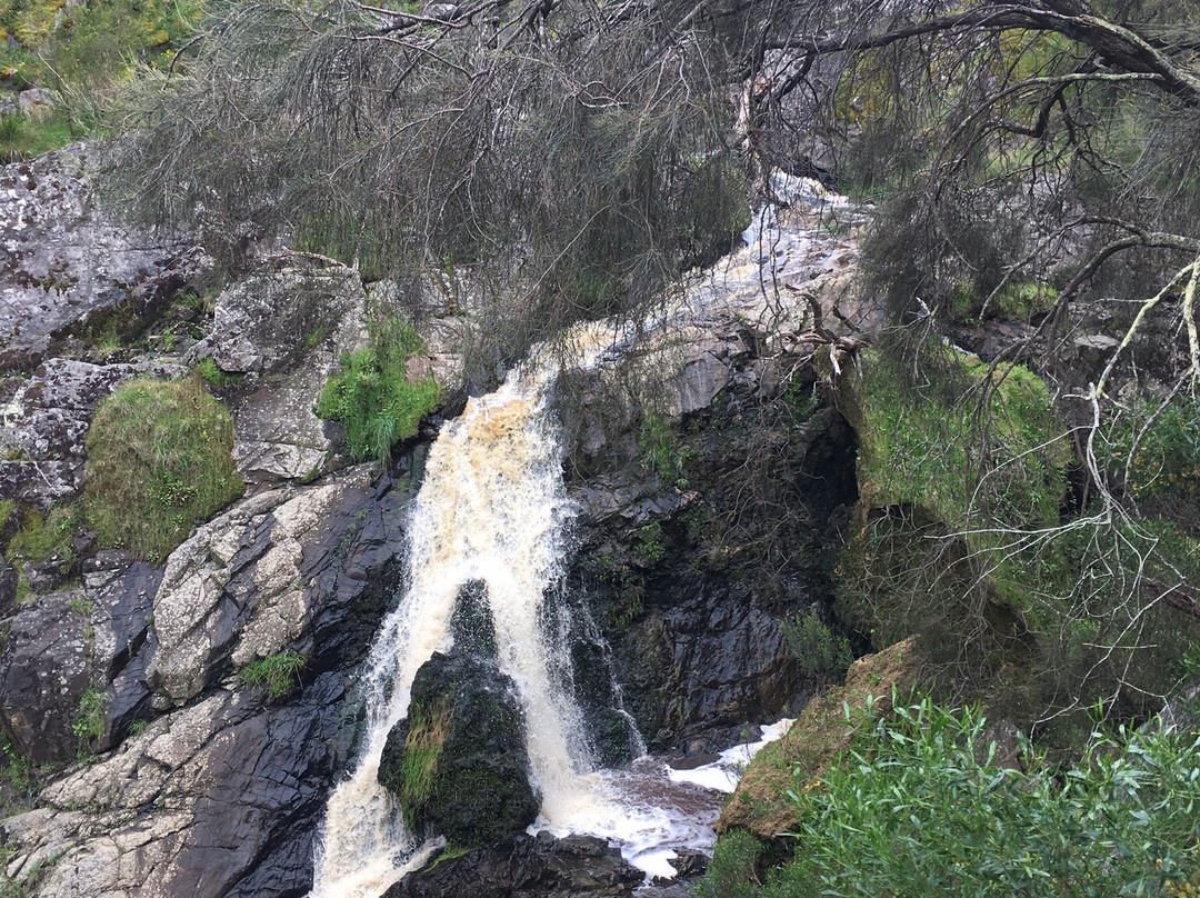 Hindmarsh Falls景点图片