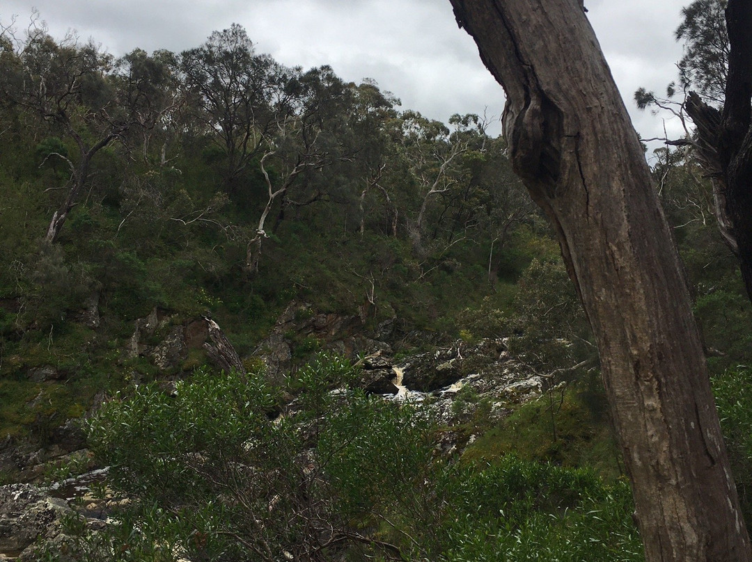 Hindmarsh Falls景点图片
