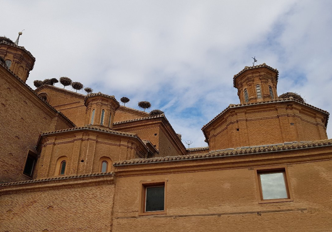 Mirador de las Ciguenas-Alfaro必去景点