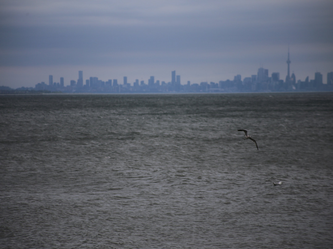 Jack Darling Memorial Park-米西索加必去景点