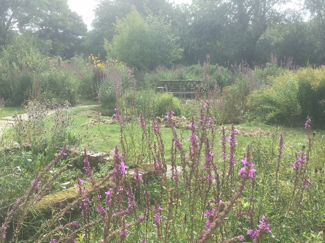 Chambers Farm Woods景点图片