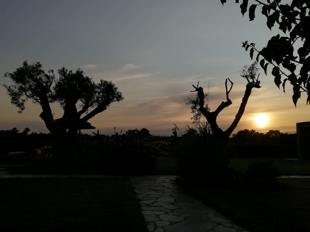 Monte do Cardal主图