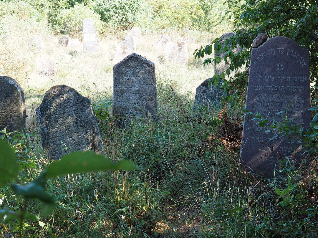 Jewish Old Cemetery In Krynki-Krynki必去景点