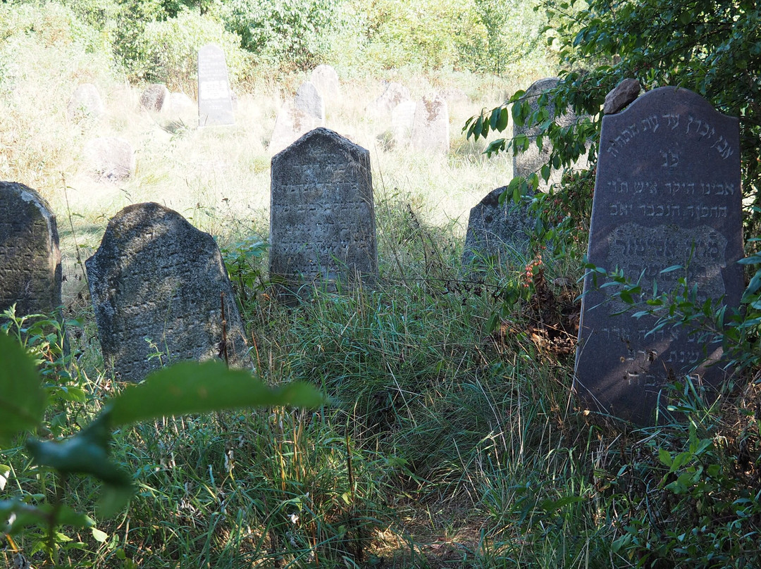 Jewish Old Cemetery In Krynki景点图片