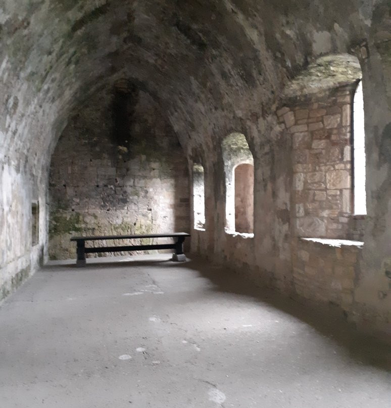 Inchcolm Abbey and Island景点图片