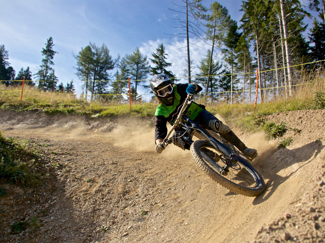 Alpenbikepark Chur景点图片