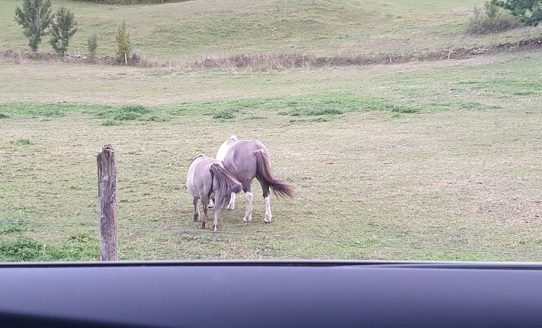 Hotel du Domaine du Mont Saint Jean主图