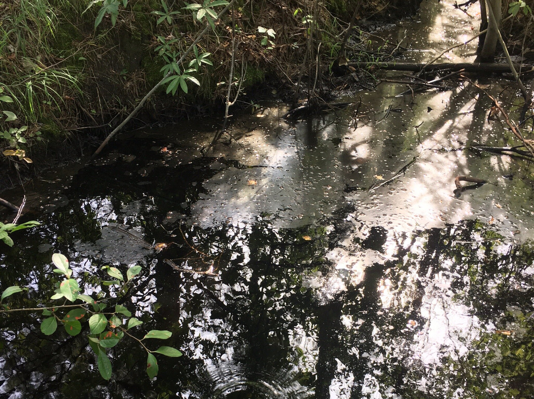 Black Run Preserve-Evesham必去景点