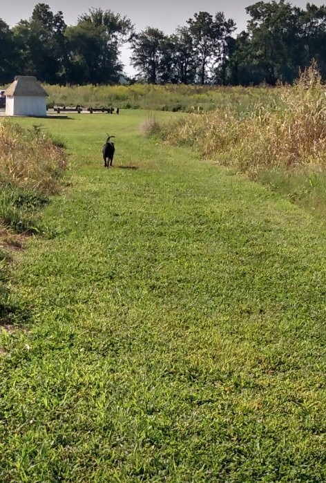 Towosahgy State Historic Site-East Prairie必去景点