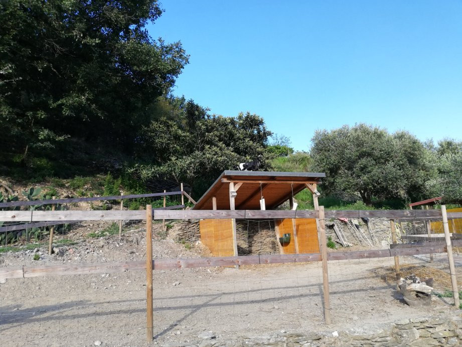 Peq Agri-Resort Tovo主图