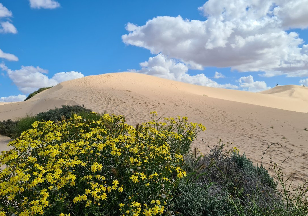 Mungo Loop Track景点图片