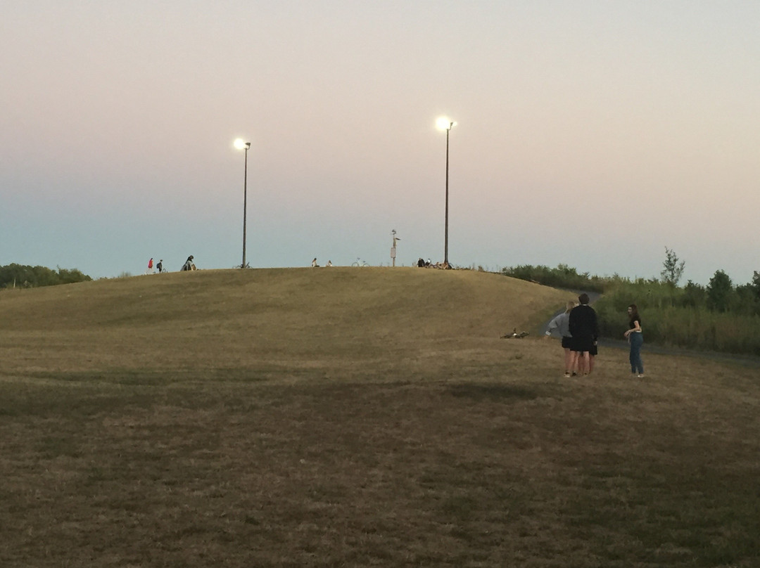 Salt Creek Trail-Elmhurst必去景点