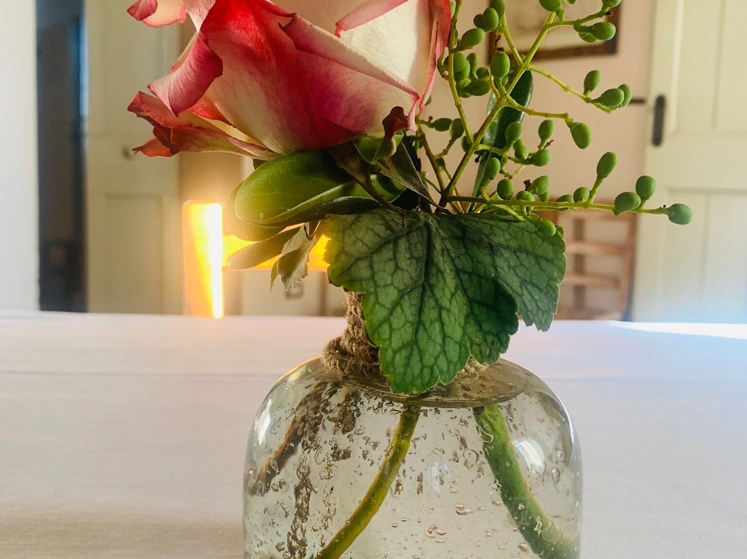 Agriturismo Palazzo Baldini主图