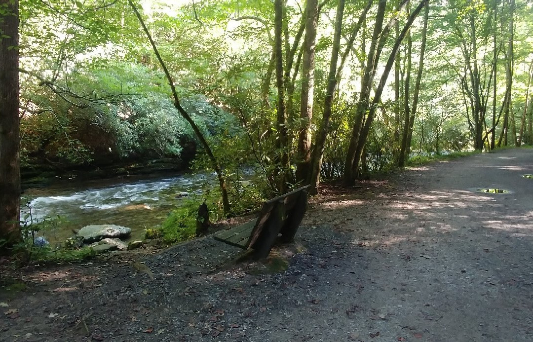 Tom Branch Falls-大雾山国家公园必去景点