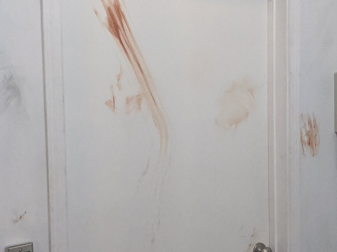 Escapology Farmington-法明顿必去景点