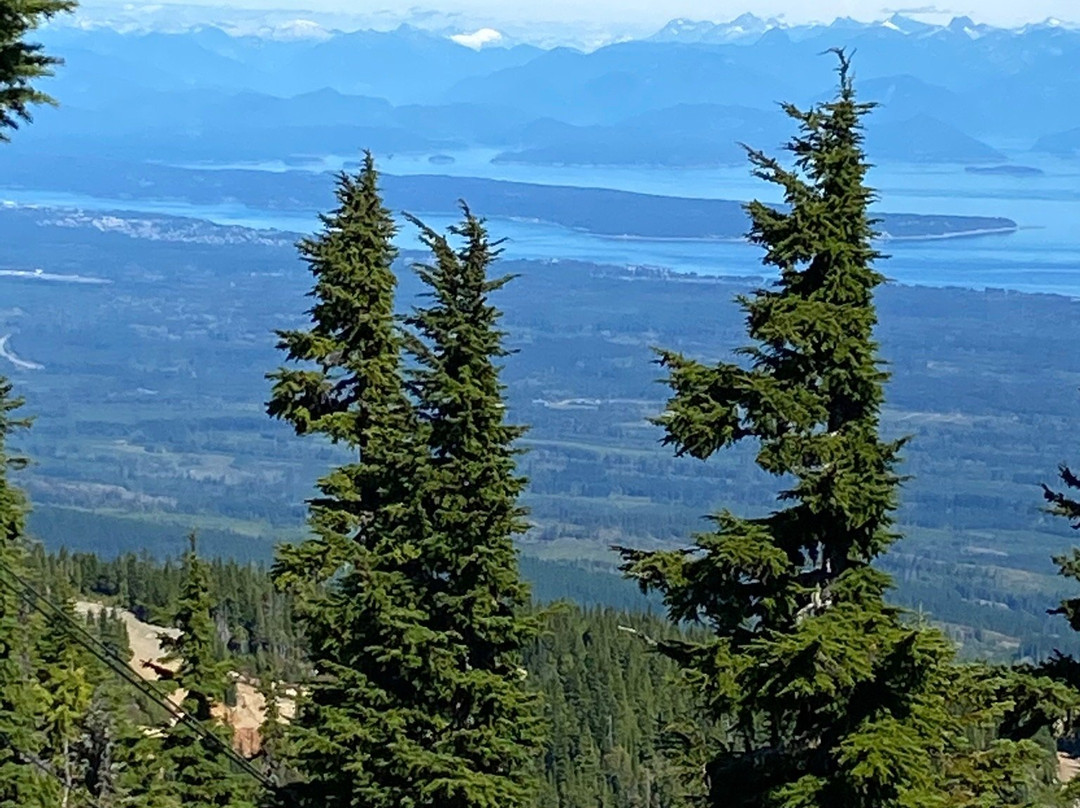 Mount Washington Alpine Resort景点图片