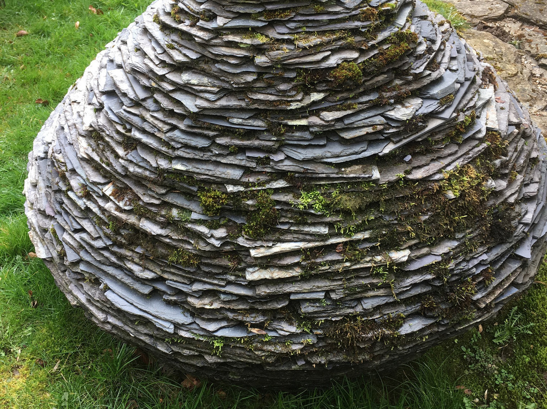 Exmoor Forest Inn主图