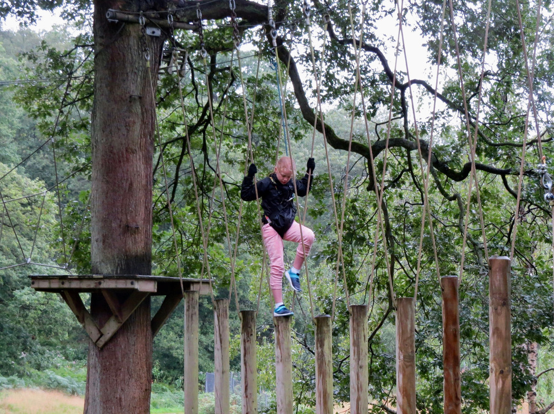 Trentham Treetop Adventures-Trentham必去景点