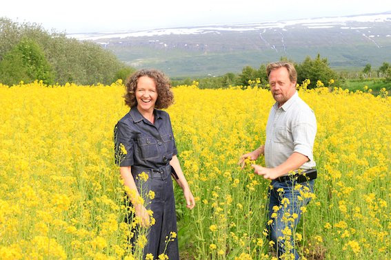 Modir Jord Organic B&B
